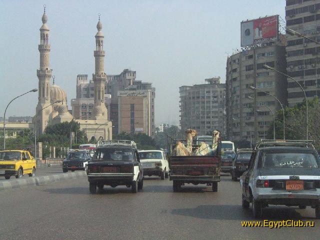 Пол улицам Каира