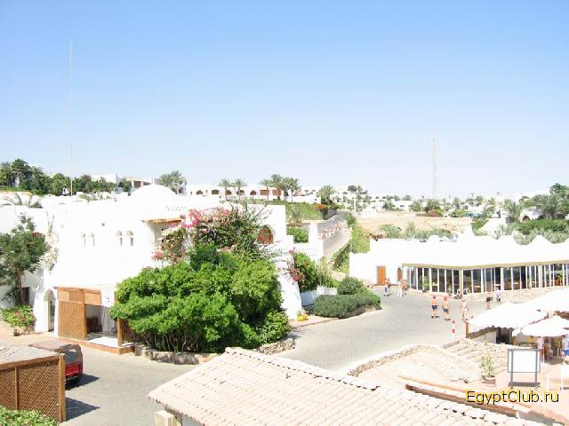 -   El Wadi