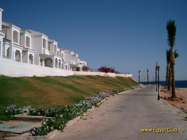  Coral Beach Tiran