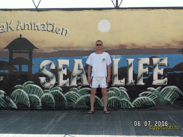 sea life 4
