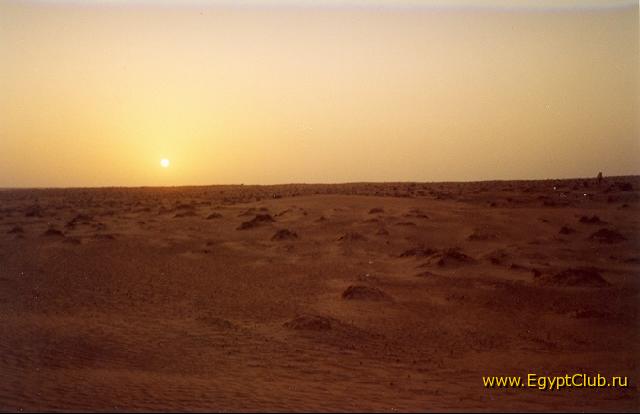the Desert