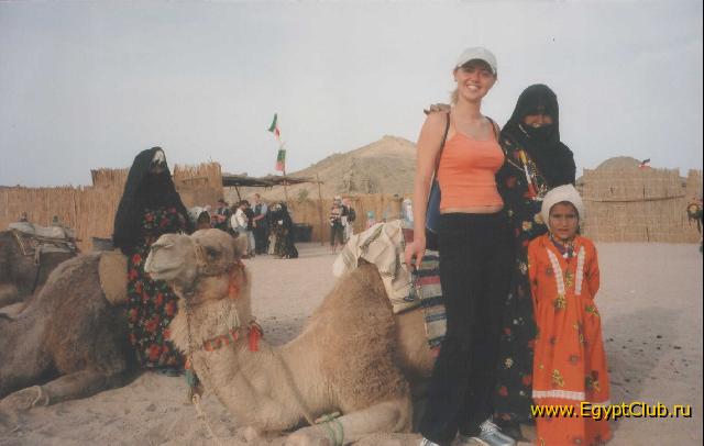 The Bedouins