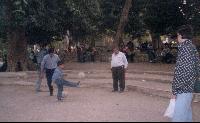 В Каирском зоопарке