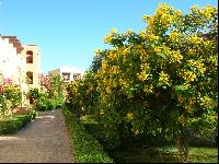 Iberotel Makadi Saraya Suites Resort & Family Resort -   