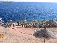 Halomy Sharm, 