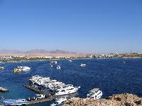 Halomy Sharm,   .