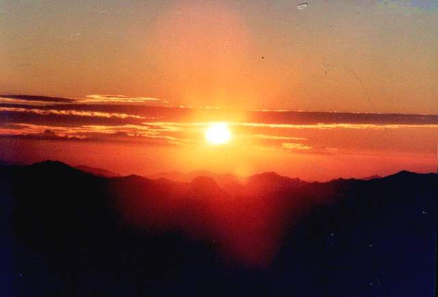 ���������� - ������