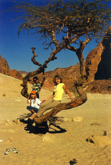 ���������� - ������