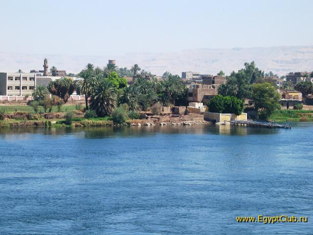 The bank of the river Nile