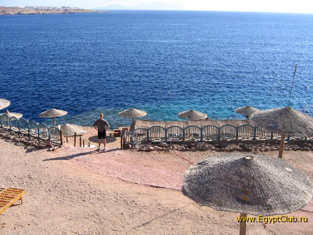 Halomy Sharm, 