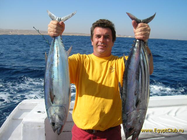 Рыбалка в Египте
