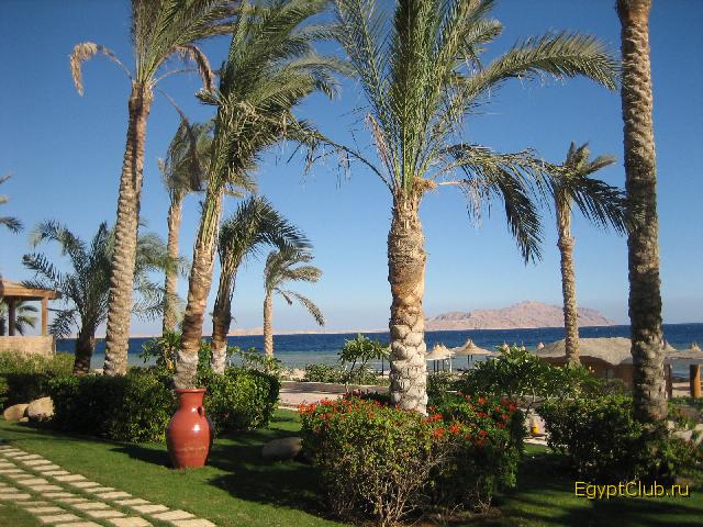  2006  Melia Sinai 5*   