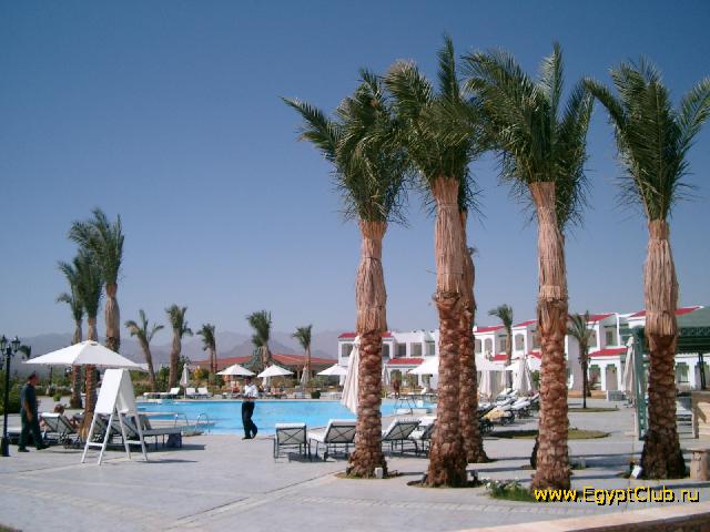  Coral Beach Tiran