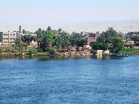 The bank of the river Nile