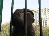 Зоопарк в Каире