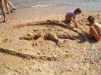 Ахтунг! Крокодил на пляже!