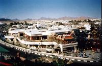 NAAMA