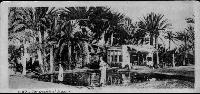 The Fontain Of Muses - SUEZ