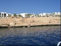 Crowne Plaza Resort Sharm El Sheikh