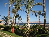  2006  Melia Sinai 5*   