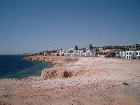     Coral Beach Tiran