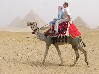 Верблюд, пустыня и пирамиды