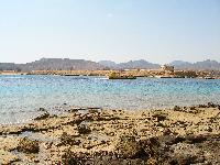 дикий пляж рядом с Beach Albatros Sharm